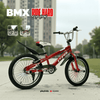 PB1057 | Bicycle