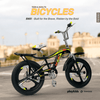 PB1062 | Bicycle