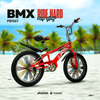 PB1067 | BMX Freestyle Bicycle