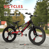 PB1097 | Bicycle