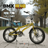 PB1098 | Bicycle