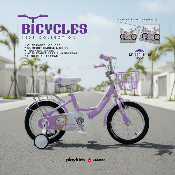 PB1113 | Bicycles for Kids, Teens & Adults
