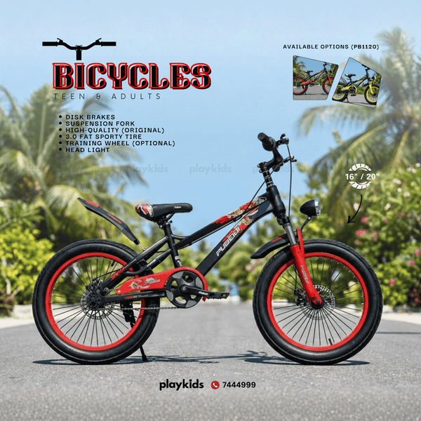 PB1120 | Bicycles for Kids, Teens & Adults