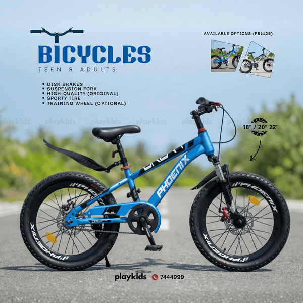 PB1125 | Bicycles for Kids, Teens & Adults