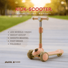 PK1005 | Scooter