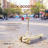 PK1021 | Scooter