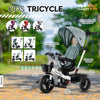 PM1031 | Kids Tricycle