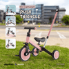 PM1040 | Kids Push Tricycle