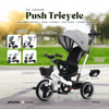 PM1041 | Push Tricycle