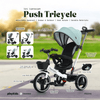 PM1041 | Push Tricycle