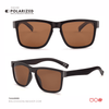 SG146 | Sunglass