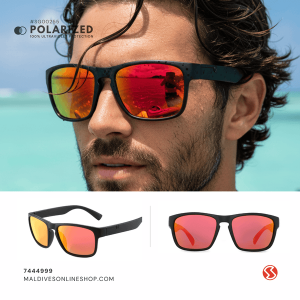 SG255 | Sunglass
