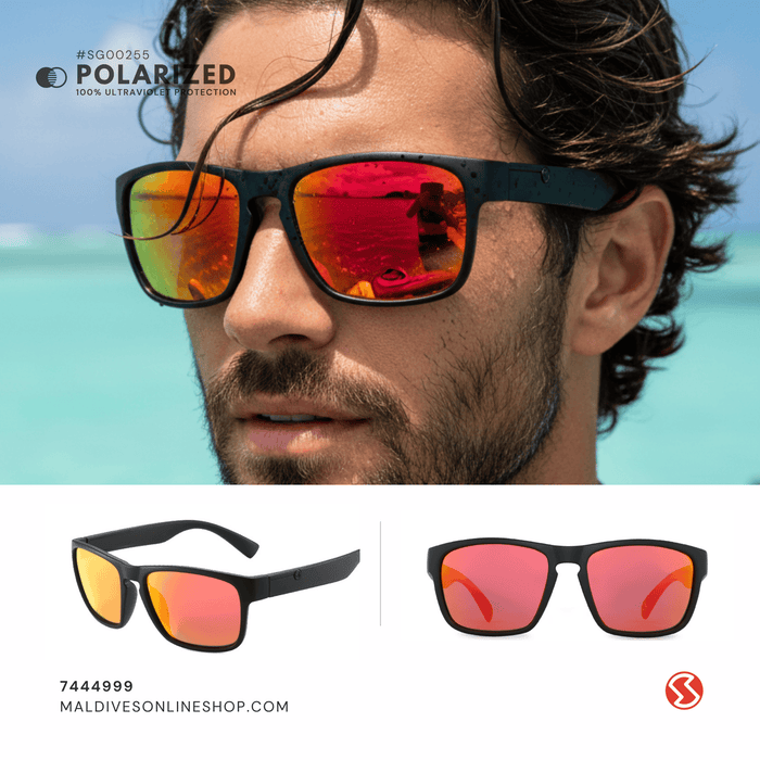 SG255 | Sunglass
