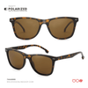 SG477 | Sunglass