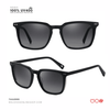 SG511 | Sunglass