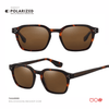 SG527 | Sunglass