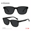 SG541 | Sunglass