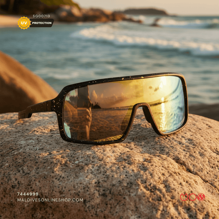 SG713 | Sunglass