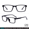 EG291 | Optical Frame